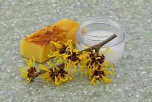 Witch hazel in various forms