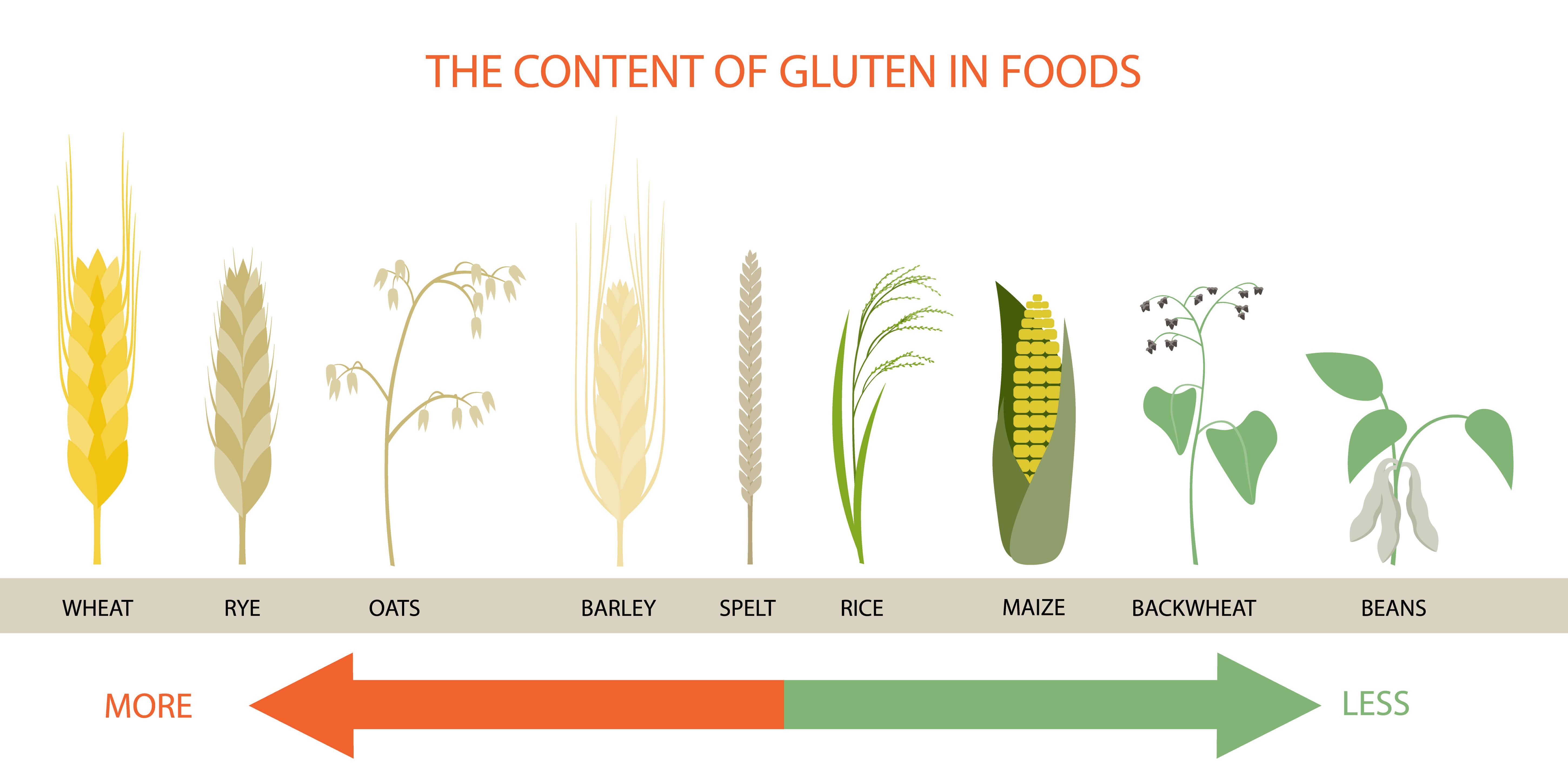 Is Gluten Causing Your Breakouts? Amore Mi