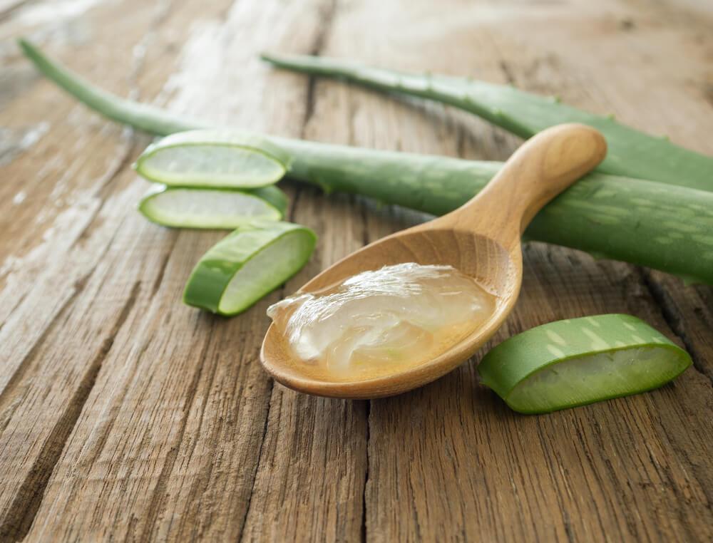 Aloe vera gel on spoon